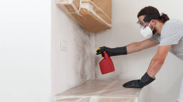Professional Mold Cleanup technician working in Sunbury, NC
